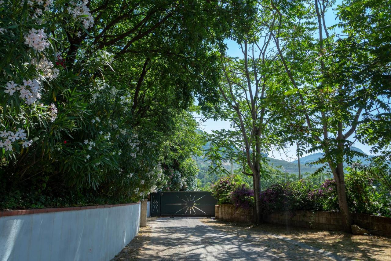 Agave Hotel Pozzuoli Ngoại thất bức ảnh